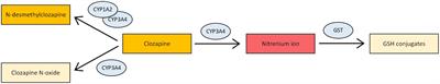 Recurrent high creatine kinase levels under <mark class="highlighted">clozapine</mark> treatment - a case report assessing a suspected adverse drug reaction